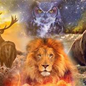 Il Cerchio Sciamanico rappresenta un'importante occasione per entrare in contatto con la propria dimensione spirituale, i propri Maestri Guida e Animali di Potere. Formare un Cerchio Sciamanico e farne parte significa sperimentare queste preziosissime esperienze in uno spazio sacro e protetto.